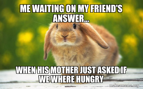 Regretful Rabbit meme