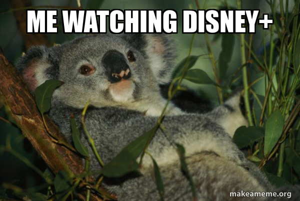 Laid Back Koala meme