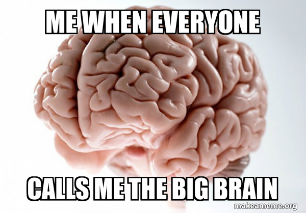 Scumbag Brain meme