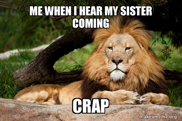 Contemplative Lion meme