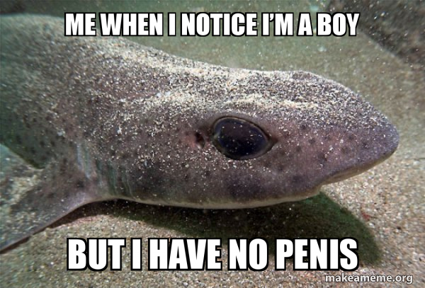 Dirty Joke Dogfish meme