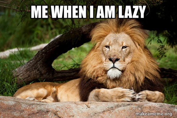 Contemplative Lion meme