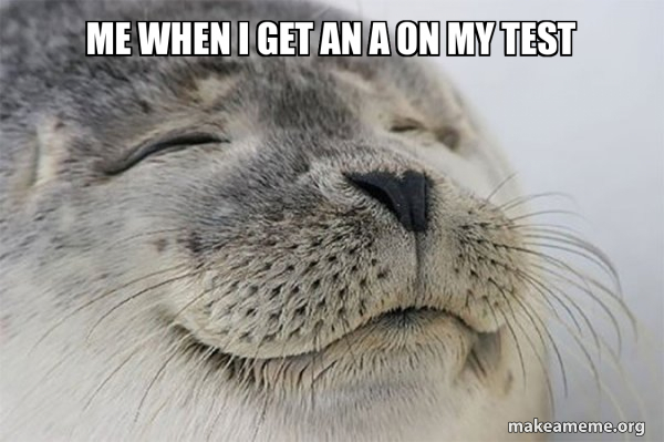 Satisfied Seal meme