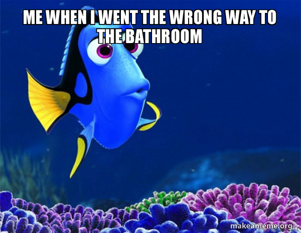 Dory from Nemo  (5 second memory) meme