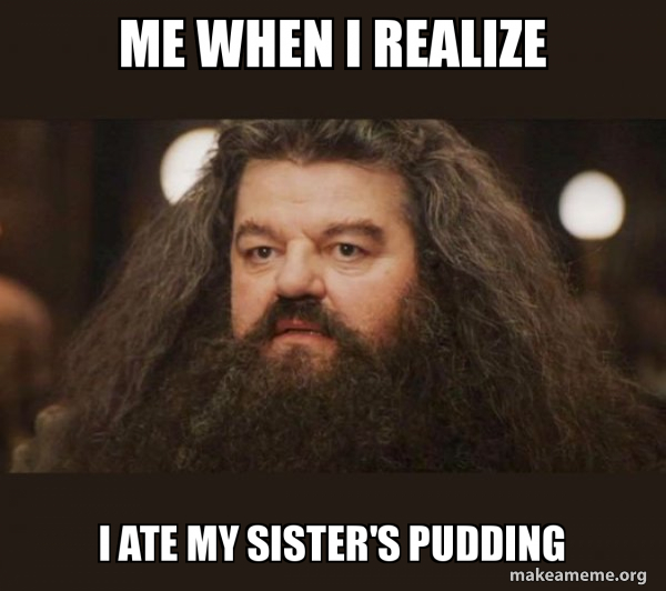 Hagrid - I should not have said that meme