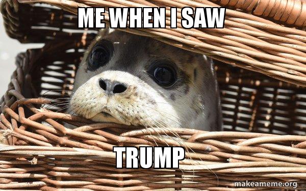 Impending Doom Seal meme