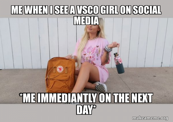 VSCO Girl meme