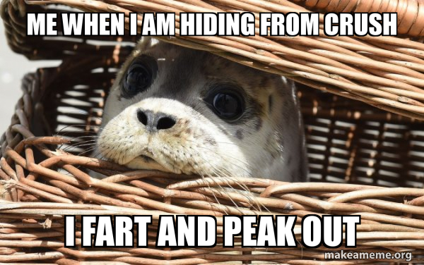 Impending Doom Seal meme