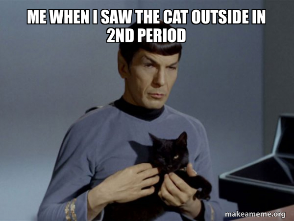 Spock and Cat Meme meme