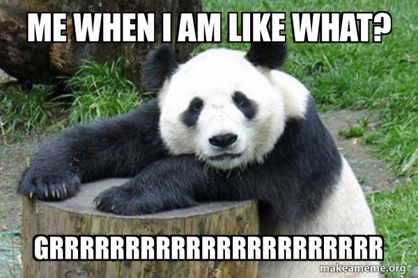 Confession Panda meme