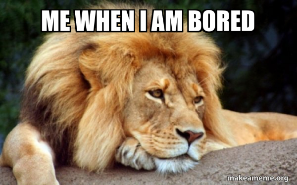 Confession Lion meme