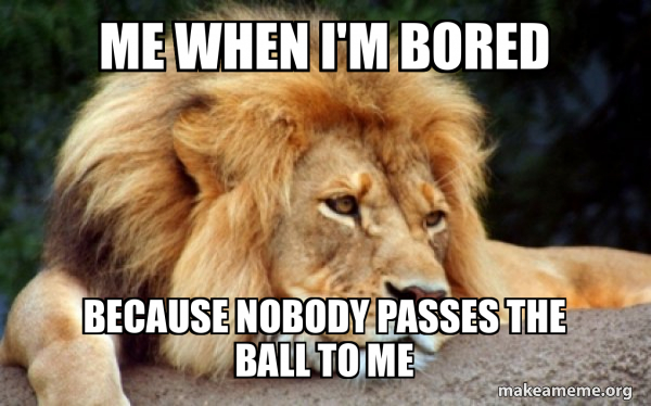 Confession Lion meme