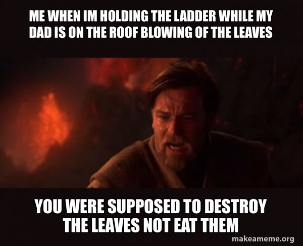 Obi-Wan Kenobi - You Were The Chosen One! meme