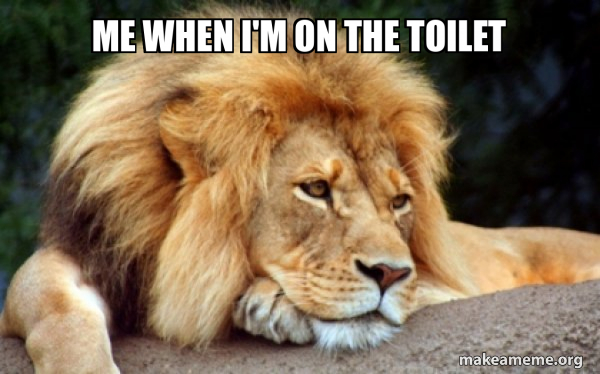 Confession Lion meme