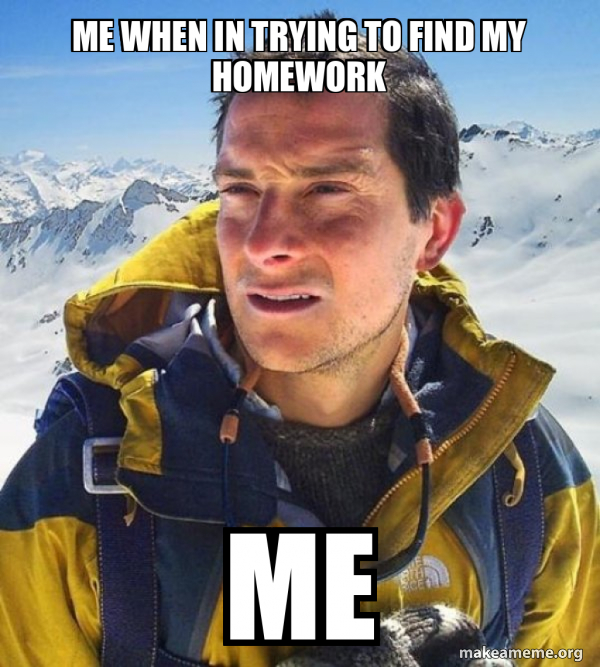 Bear Grylls meme