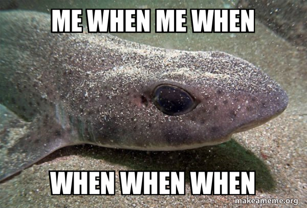 Dirty Joke Dogfish meme