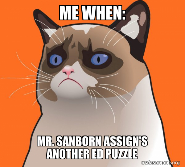 Cartoon Grumpy Cat meme