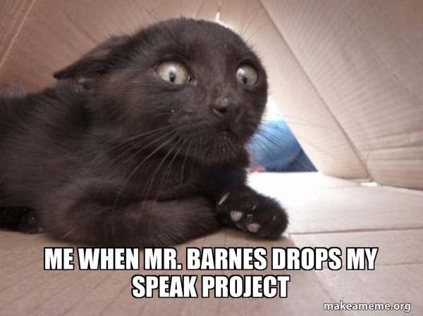 Schitzo Cat meme