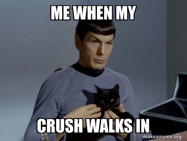 Spock and Cat Meme meme