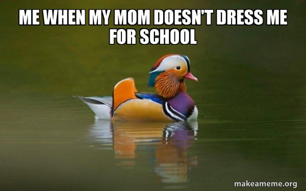 Fashionable Advice Mallard meme