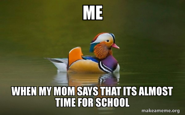 Fashionable Advice Mallard meme