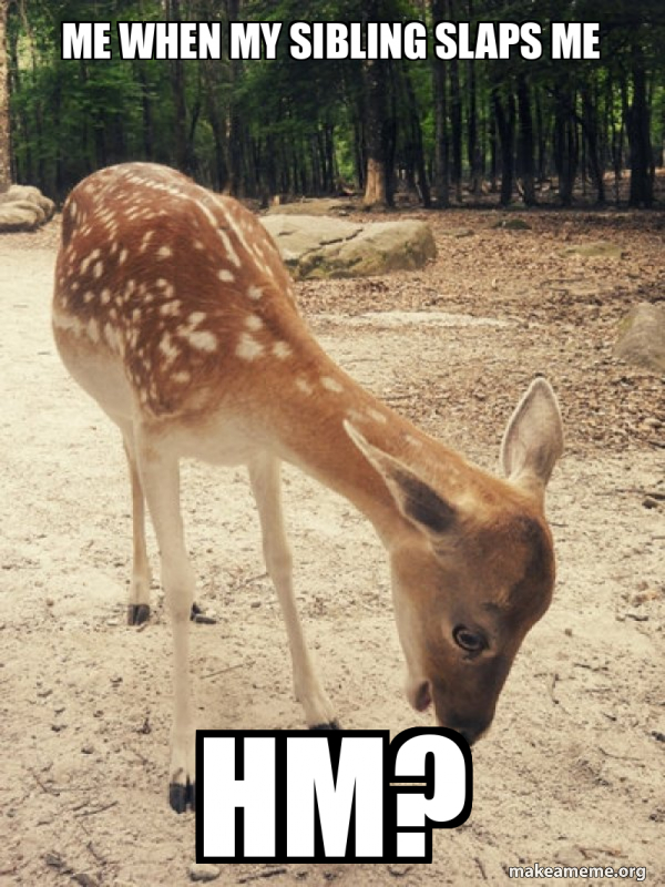 O M G Deer meme