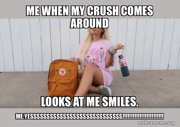 VSCO Girl meme