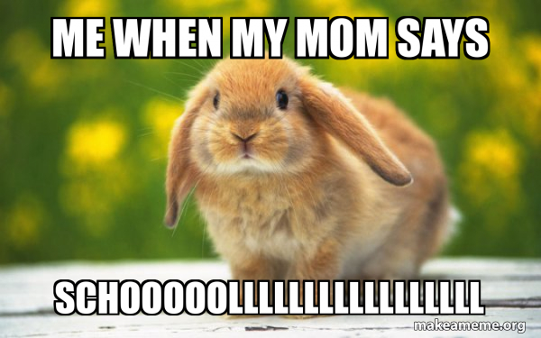 Regretful Rabbit meme