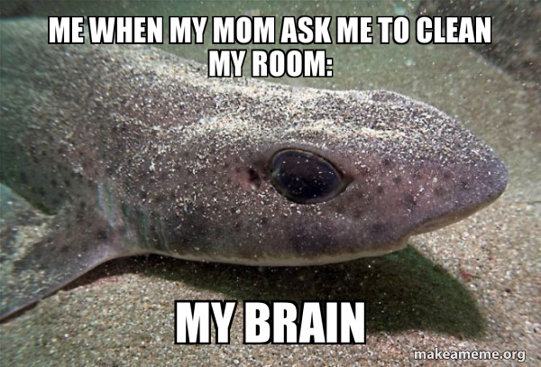 Dirty Joke Dogfish meme