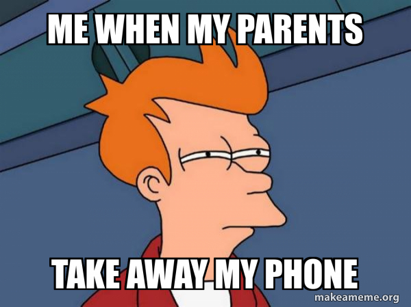Futurama Fry meme