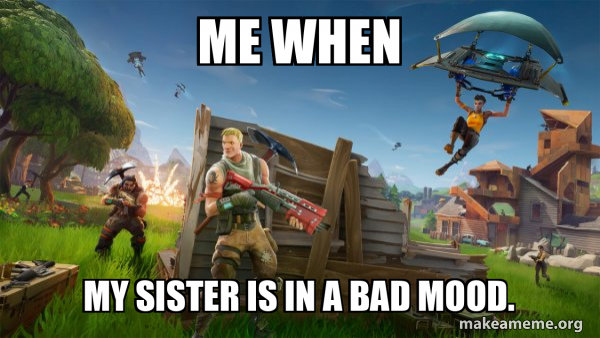 Fortnite Battle Royale game meme