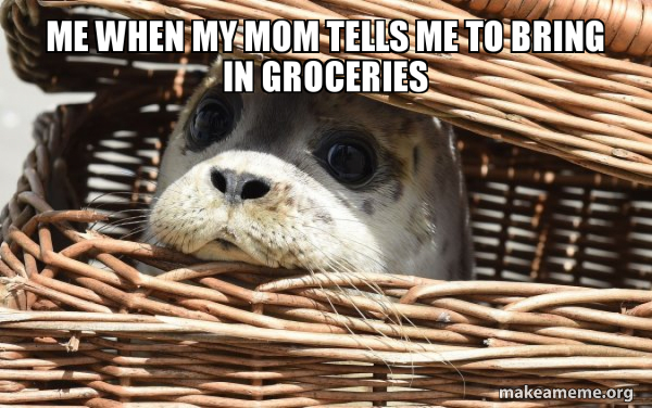 Impending Doom Seal meme