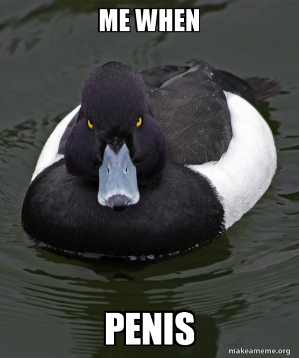 Revenge Duck ( Angry Advice Duck ) meme