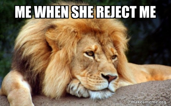 Confession Lion meme