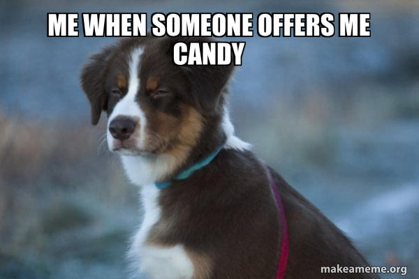 Unsure Dog meme
