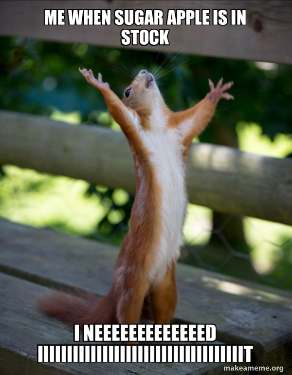 Happy Squirrel meme