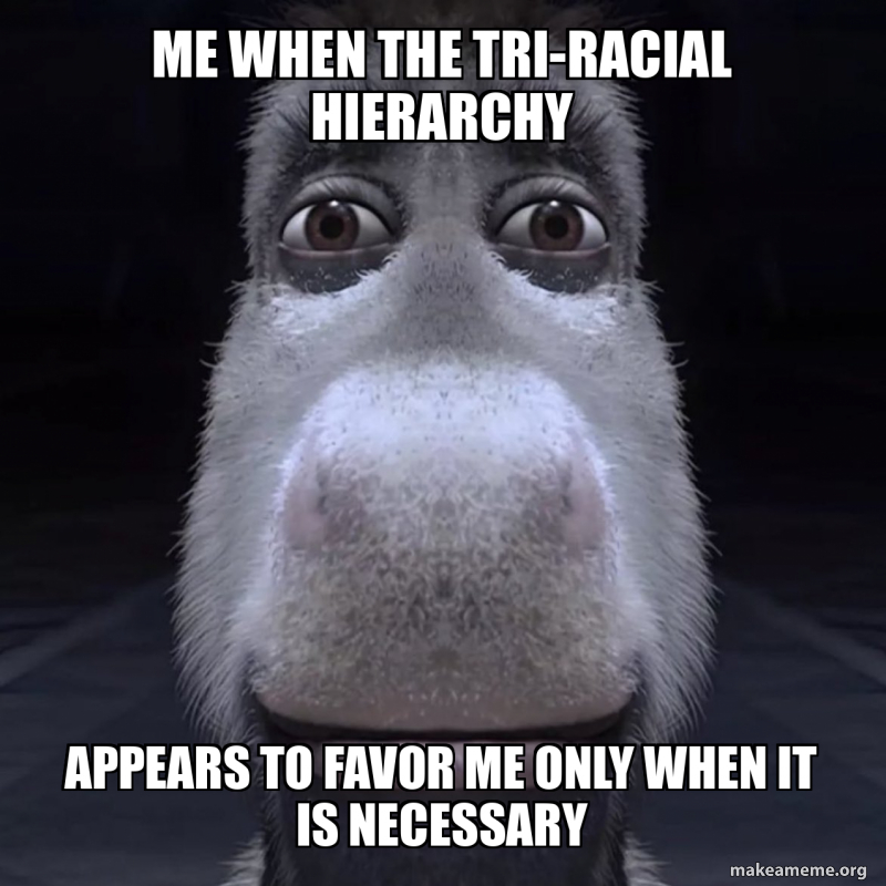 me when THE TRIRACIAL HIERARCHY appears to favor me only when it is