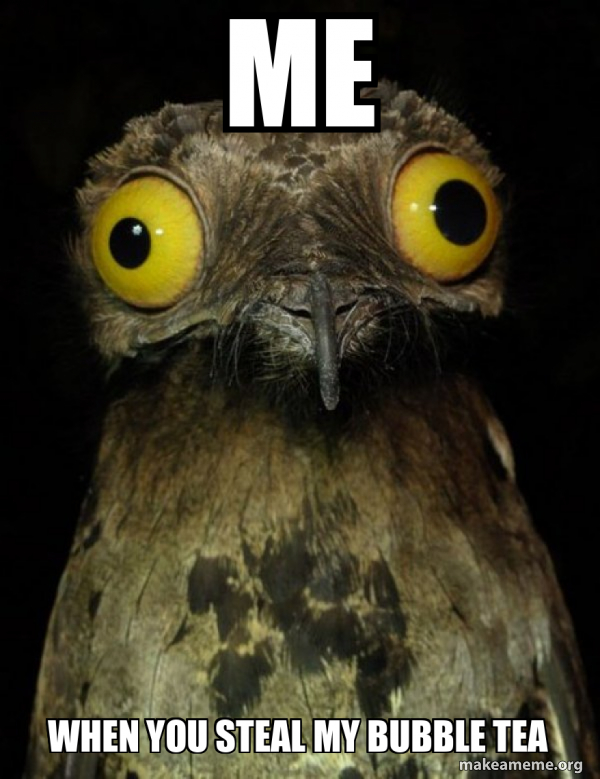 Weird Stuff I do Potoo meme