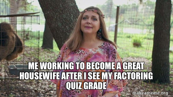Carole Baskins (Carol ?) meme