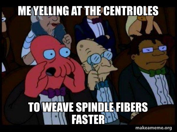Your meme is bad and you should feel bad - Zoidberg meme