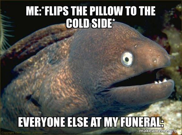 Bad Joke Eel meme