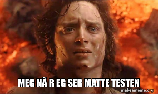 Meg Instrument Meme Meg når eg ser matte testen - Frodo it's over it's done Meme Generator