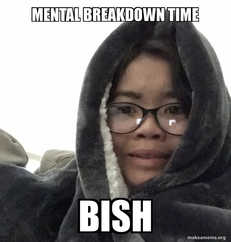 Mental Breakdown Time Bish Make A Meme