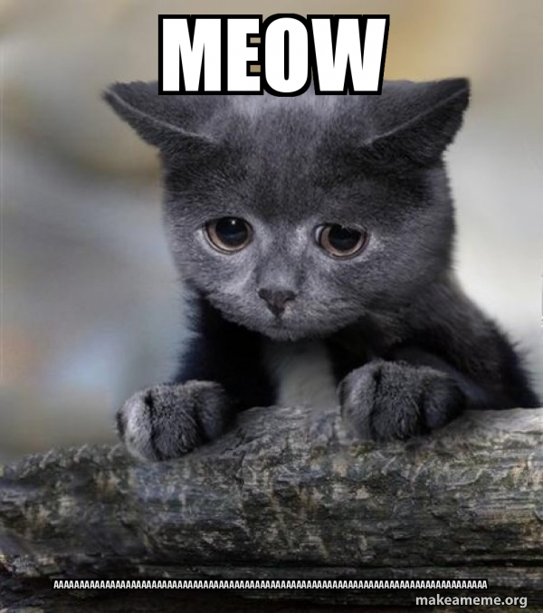 Confession Cat meme
