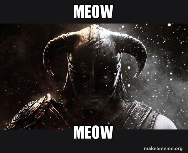 Skyrim meme