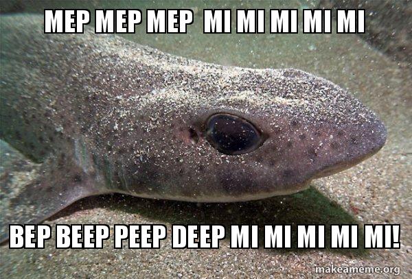 Mep mep mep mi mi mi mi mi bep beep peep deep mi mi mi mi mi! - Dirty Joke  Dogfish | Make a Meme