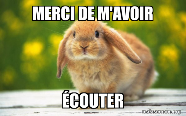 Merci De M avoir couter Regretful Rabbit Meme Generator Merci De M avoir couter Regretful Rabbit Meme Generator
