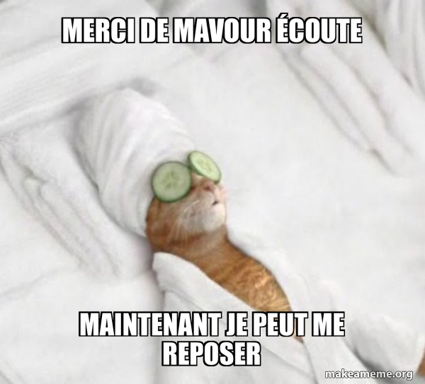 Pampered Cat Meme meme