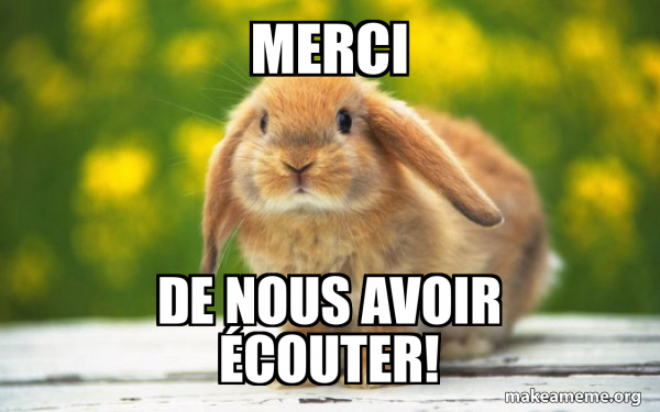 Regretful Rabbit meme