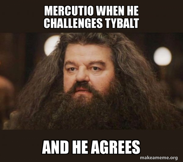 Hagrid - I should not have said that meme